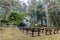 Image of outdoor benches in front of the replica of the Virgin of Lourdes in a natural grotto