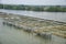 The image of an oyster farm Natural background