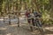 Image of a pair of mountain bicycles parked under a pine forest