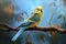 Image of parakeet bird sticking on the branches in the forest, Bird, Wildlife Animals., Generative AI, Illustration