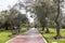 Image of `Parque el Olivar` Olive Park in Lima Peru