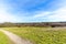 Image of a path between the green grass and an arid terrain with trees in the background