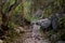 Image of a pathway trail in Cusco Peru.