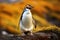 Image of Penguin standing on yellow toned stone