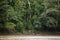 Image in Peruvian jungle of a boat in a river in Amazon forest. Traditional way of transportation in tropical rivers