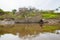 Image in Peruvian jungle, close to amazon river. Calm water, trees, wood.