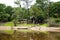 Image in Peruvian jungle, close to amazon river. Calm water, trees, wood.