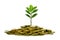 Image of pile of coins with plant on top for business, saving, growth, economic concept