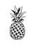 Image of pineapple fruit