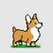 Image of a pixel corgi puppy