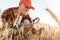 Image of pleased unshaven adult man examining harvest with magnifier