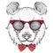 Image Portrait panda in the cravat and with glasses. Hand draw vector illustration.