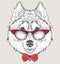 Image Portrait panda in the cravat and with glasses. Hand draw vector illustration.