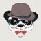 Image Portrait panda in the hat, cravat and glasses. Vector illustration.