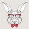 Image Portrait rabbit in the cravat and with glasses. Hand draw vector illustration.