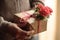 An image portraying a person surprising their loved one with a romantic gesture, such as presenting a bouquet of roses, planning a