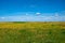 The image presents a vast field with yellow flowers under a blue sky dotted with fluffy white clouds