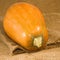 Image of pumpkin on matting close-up