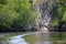 Image of rain forest with the mangrove trees Ecological System