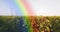 Image of rainbow fog over moving countryside landscape