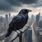 image of raven bird standing on a thin electric wire at a huge height, on a busy street landscape, skyscrapers, cars.