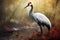 Image of red crowned crane in the fertile forest. Bird. Nature. Illustration, Generative AI