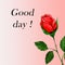 Image of red rose sprig on light pink gradient background with lettering `Good day`