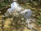 Image of reflections of vegetation in the river water