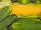 Image ripe corn, and cucumbers close-up