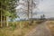 Image of a road of stones leading to the forest