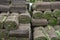 Image of rolls of lawn grass