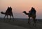 This is an image or scenery of beautiful camel safari and riding in thar desert or sam sand dunes in jaisalmer rajasthan india
