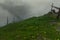 Image of a section of green, flowering grass on the edge of a mountain against a background of thick mist