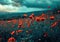 an image shows a field of red poppies