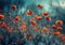 an image shows a field of red poppies