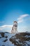 Image of Siberian husky sitting at the top of the rock in the background of mountains and forests at sunset in winter