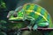 Image of side view of a green chameleon on a branch on natural background. Wild Animals. reptile, illustration. Generative AI