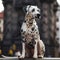 Image of a sitting dalmatian dog. Pet. Animals. Illustration. Generative AI