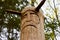 The image of the Slavic deity Veles carved from a tree trunk on a neo-Pagan temple in the forest