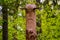 Image of the Slavic deity Veles carved from a tree trunk on a neo-Pagan temple in the forest.