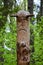 Image of the Slavic deity Veles carved from a tree trunk on a neo-Pagan temple in the forest