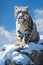 Image of snow leopard running in the mountains wood