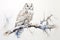 Image of snowy owl perched on a tree branch. Birds. Wildlife Animals