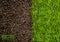 Image of soil and green grass texture. Natural texture. Overhead view. Vector illustration nature background.