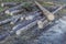 Image of some wooden logs of felled trees next to a path in a zone controlled deforestation