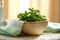 An image of a spa setting with a bowl of water infused with mint leaves, accompanied by a towel and a sprig of mint, symbolizing