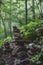 Image of spiritual stones pyramid in the dark forest on Sakhalin island.