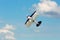 Image of sports plane flying rapidly in the sky, outdoor