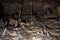 Image of stalagmites on wall in the cave