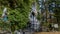 Image of a statue of Bernadette praying to Our Lady of Lourdes in a natural grotto